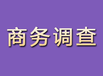 齐河商务调查